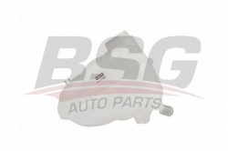 BSG 65550006 Radyatör Yedek Su Deposu