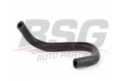 BSG 30720173 Karter Havalandırma Hortumu