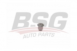 BSG 70700099 Salıncak Burcu Arka