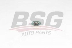 BSG 15615010 V Kayış Gergi Rulmanı