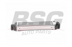 BSG 60535010 Turbo Radyatörü