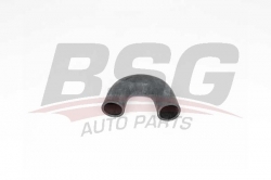 BSG 25720044 Turbo Hortumu