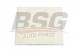 BSG 40145006 Polen Filtresi