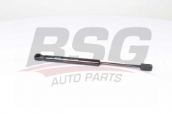BSG 15980018 Motor Kaput Amortisörü