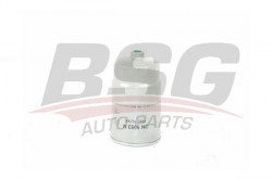 BSG 40130003 Yakıt Filtresi