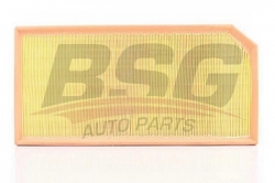 BSG 90135015 Hava Filtresi