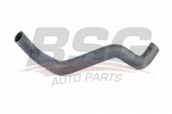 BSG 70720017 Radyatör Hortumu Alt