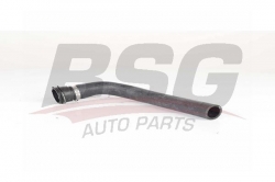 BSG 90720169 Radyatör Su Hortumu