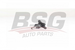 BSG 70310073 Rotil Alt