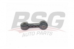 BSG 40310072 Viraj Askı Rotu Ön
