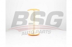BSG 25135001 Hava Filtresi