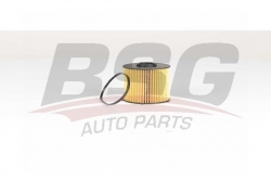 BSG 60130022 Yakıt Filtresi