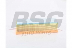 BSG 60135024 Hava Filtresi
