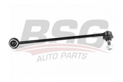 BSG 15310060 Viraj Askı Rotu Ön Sol
