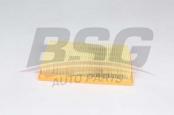 BSG 30135029 Hava Filtresi