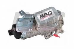 BSG 30116106 Yağ Soğutucusu