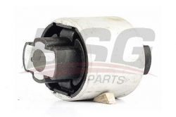 BSG 70700042 Salıncak Burcu