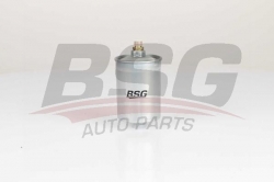 BSG 60130010 Yakıt Filtresi