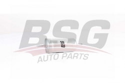 BSG 90130015 Yakıt Filtresi
