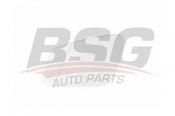 BSG 15910004 Ayna Camı Sol