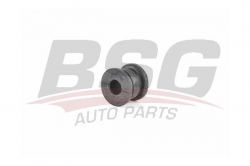 BSG 60700178 Viraj Demir Lastiği Arka