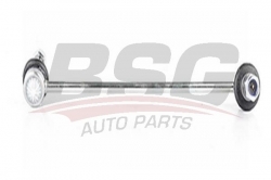 BSG 60310185 Viraj Askı Rotu Ön Sağ
