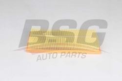 BSG 25135015 Hava Filtresi