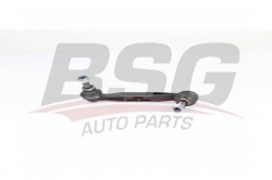 BSG 15310190 Viraj Askı Rotu Arka Sol