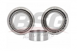 BSG 30600013 Porya Rulmanı Arka