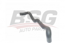 BSG 75720030 Radyatör Hortumu Alt