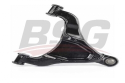 BSG 60315007 Salıncak Ön Sağ
