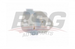 BSG 30966011 Cam Kriko Plastiği