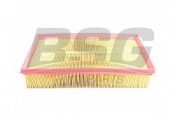 BSG 90135010 Hava Filtresi