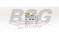 BSG 75130007 Yakıt Filtresi
