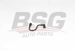 BSG 70725025 Yakıt Borusu