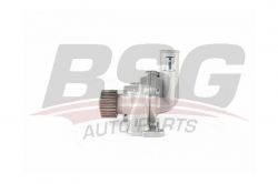 BSG 40500021 Devirdaim