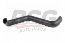 BSG 70720142 Radyatör Hortumu Alt