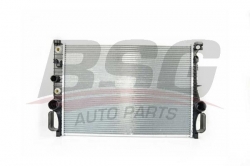 BSG 60520029 Su Radyatörü