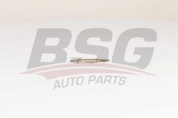 BSG 40870001 Isıtma Bujisi