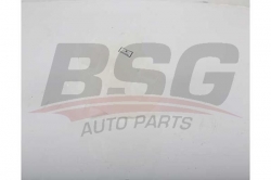 BSG 25971008 Radyatör Yedek Su Deposu