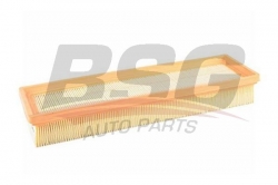 BSG 70135008 Hava Filtresi