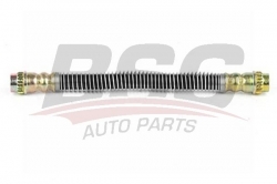 BSG 70730010 Fren Hortumu Arka