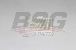 BSG 40145021 Polen Filtresi