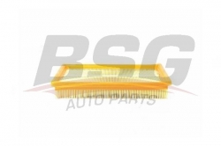 BSG 40135008 Hava Filtresi