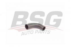 BSG 30720244 Turbo Hortumu