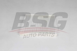 BSG 25145005 Polen Filtresi