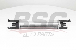 BSG 25535003 Turbo Radyatörü