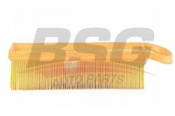 BSG 70135007 Hava Filtresi