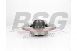 BSG 75210018 Fren Diski Arka