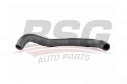 BSG 40720023 Radyatör Hortumu Alt